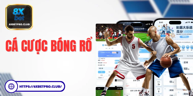 Hình ảnh cá cược bóng rổ 8xbet với các kèo hấp dẫn và chuyên nghiệp