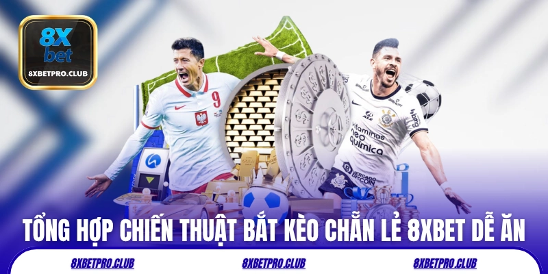 Tổng hợp chiến thuật bắt kèo chẵn lẻ 8xbet dễ ăn
