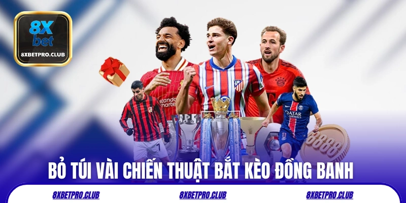 Bỏ túi vài chiến thuật bắt kèo đồng banh 8xbet