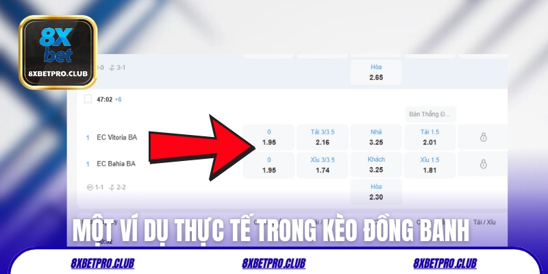 Một ví dụ thực tế trong kèo đồng banh 8xbet
