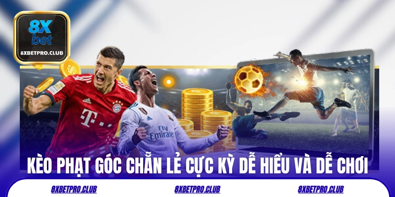 Kèo phạt góc chẵn lẻ cực kỳ dễ hiểu và dễ chơi