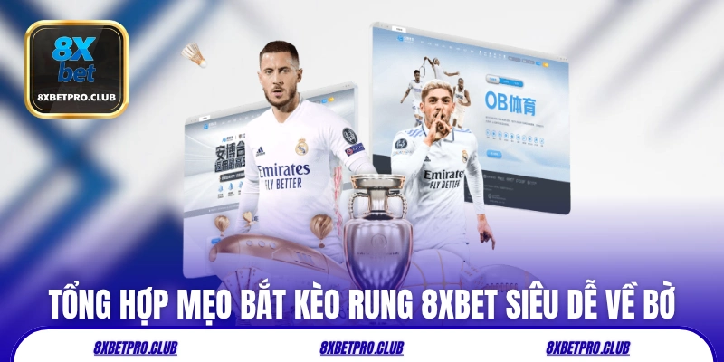 Tổng hợp mẹo bắt kèo rung 8xbet siêu dễ về bờ
