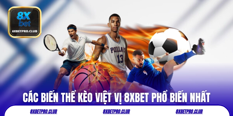 Các biến thể kèo việt vị 8xbet phổ biến nhất